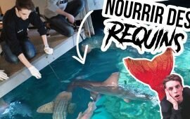 On en sait enfin plus sur le nouveau concept de Théo Gordy