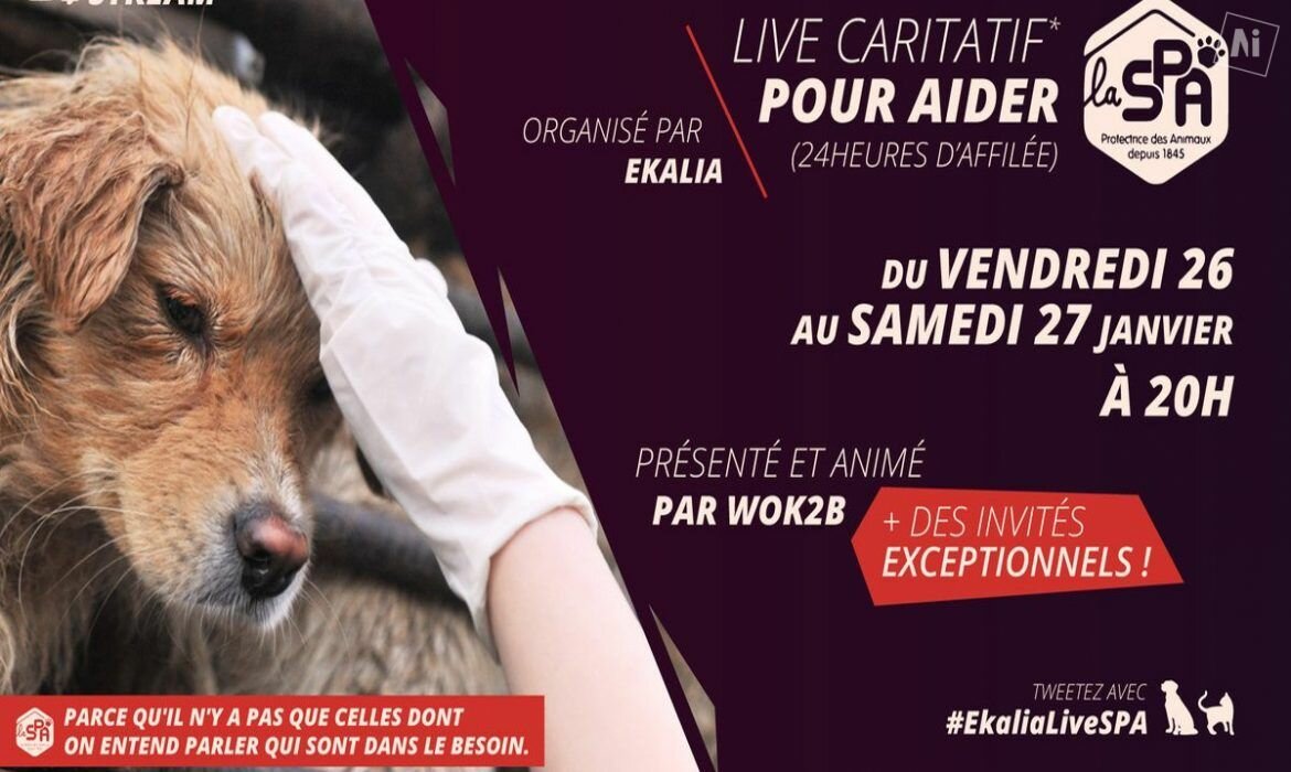 Des youtubeurs se mobilisent pour la SPA de Cholet